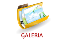 galeria-web